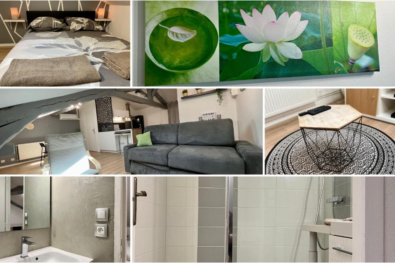 Le Mobile - Climatise - Proche De La Gare - Centre Ville-Property Rental Nm Périgueux Екстериор снимка
